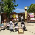 しろとり動物園の写真_235477