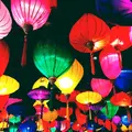サナギ 新宿 / SANAGI SHINJUKUの写真_235618