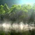 木戸池の写真_235663