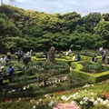 旧古河庭園の写真_235673