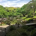 旧古河庭園の写真_235678