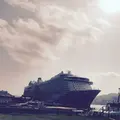 松が枝国際ターミナルの写真_235805
