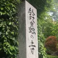 鈴虫寺（華厳寺）の写真_235843