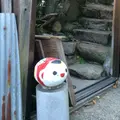 猫の細道の写真_236014
