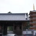 法然寺の写真_236149