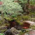 洛匠の写真_236251