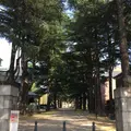 あがたの森公園の写真_236312