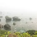 東平安名崎の写真_236354