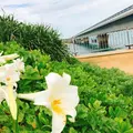 池間島の写真_236355