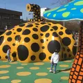 十和田市現代美術館の写真_236453