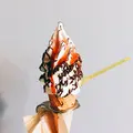 Gufo Groovy Ice Creamの写真_236745