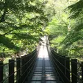 花貫渓谷の写真_236824