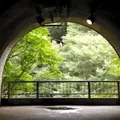 袋田の滝の写真_236847