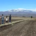 ベルエールの森の写真_236883