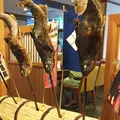 下部ホテルの写真_237322