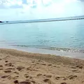 ブセナ海中公園の写真_237343