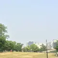 中之島公園の写真_237999