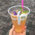 カンノンコーヒーの写真_238181