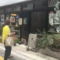 nostos books（古書ノストス）の写真_238900