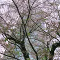 毛利庭園の写真_238958