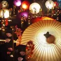 百華百彩の写真_239004
