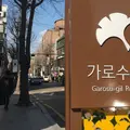 カロスキル/가로수길の写真_239010