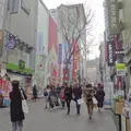 明洞/ミョンドン/명동の写真_239120