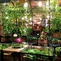 青山フラワーマーケット ティーハウス 南青山本店 （Aoyama Flower Market TEA HOUSE）の写真_239200