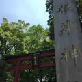 根津神社の写真_239250