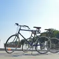 上野恩賜公園（上野公園）の写真_239252