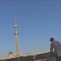 隅田川の写真_239261