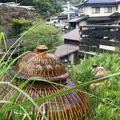 小鹿田焼の里の写真_239346
