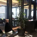 菜の花食堂の写真_239590