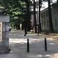 あがたの森公園の写真_239600