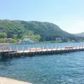 芦ノ湖の写真_239838