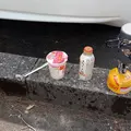 久須夜ケ岳の写真_239846