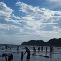 由比ガ浜海水浴場の写真_241587