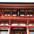 鶴岡八幡宮の写真_242292