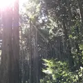 御岳山の写真_242294