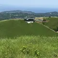大室山の写真_242318