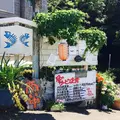 海人市場の写真_242427
