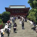 鶴岡八幡宮の写真_242736