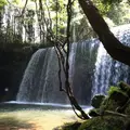 鍋ヶ滝の写真_243752