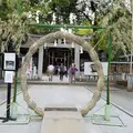 武田神社の写真_243993