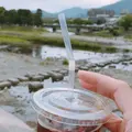 鴨川デルタの写真_244087