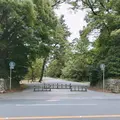 京都御苑の写真_244095