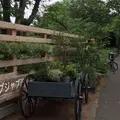駒沢オリンピック公園の写真_244160