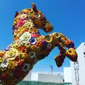 十和田市現代美術館の写真_244691