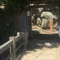 じょんの庵の写真_245029