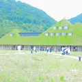 ラコリーナ近江八幡の写真_246115